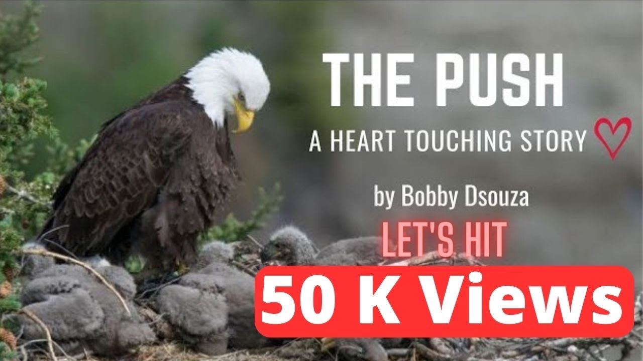 The Push II The Inspiring Eagle Story  II David McNally Book II Bobby Dsouza