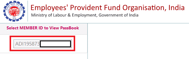 Check EPF Balance Online  Via EPF Portal  Umang App  SMS  or Call - 15
