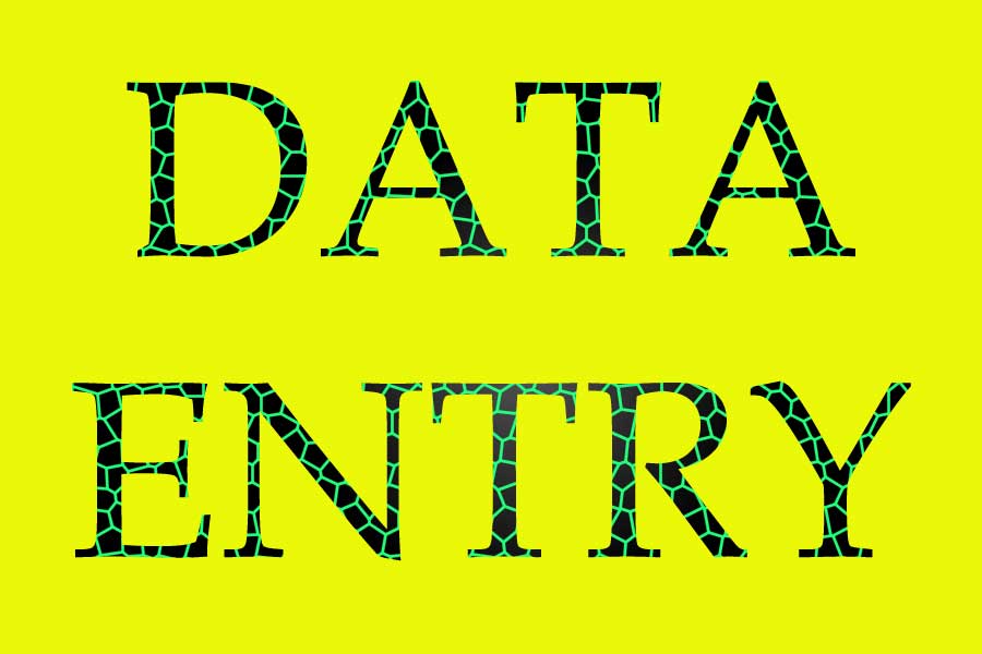 Data Entry Online Work In India - MoneyMint