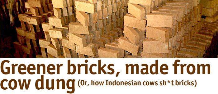 Greener Bricks made from Cow Dung - 28