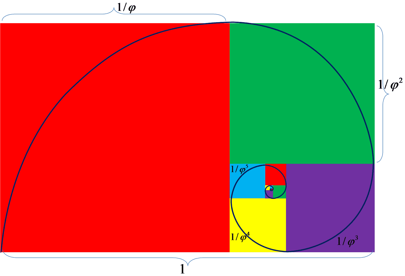 The golden ratio is found in nature and human designs