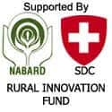 NABARD   SDC rural innovation fund - 47