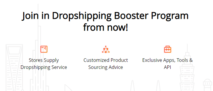 What is AliExpress Dropshipping Program