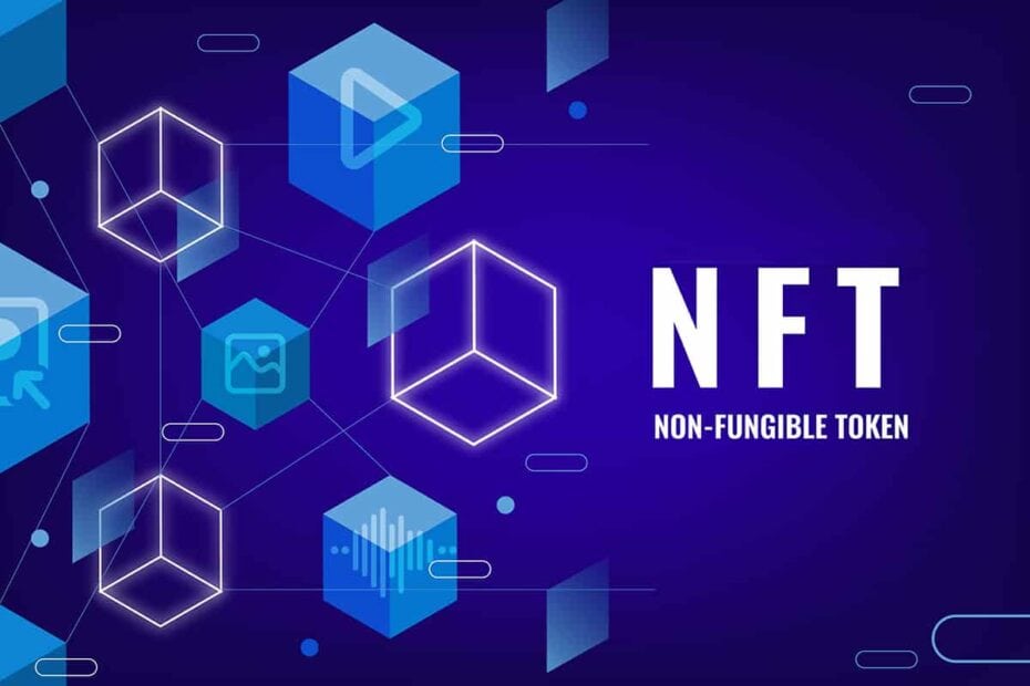 50 Most Popular NFT Tokens - Moneymint