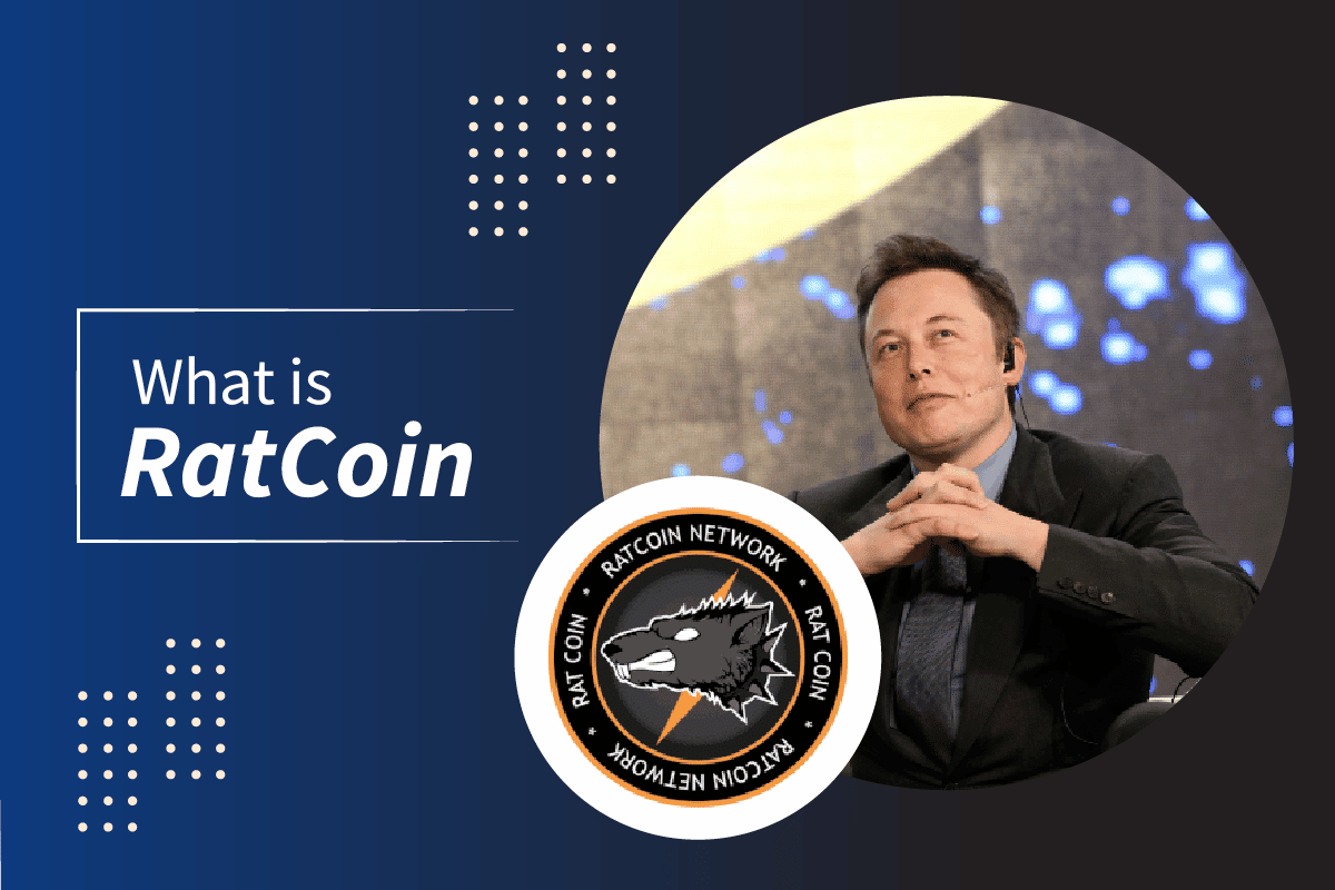 rat coin crypto elon musk