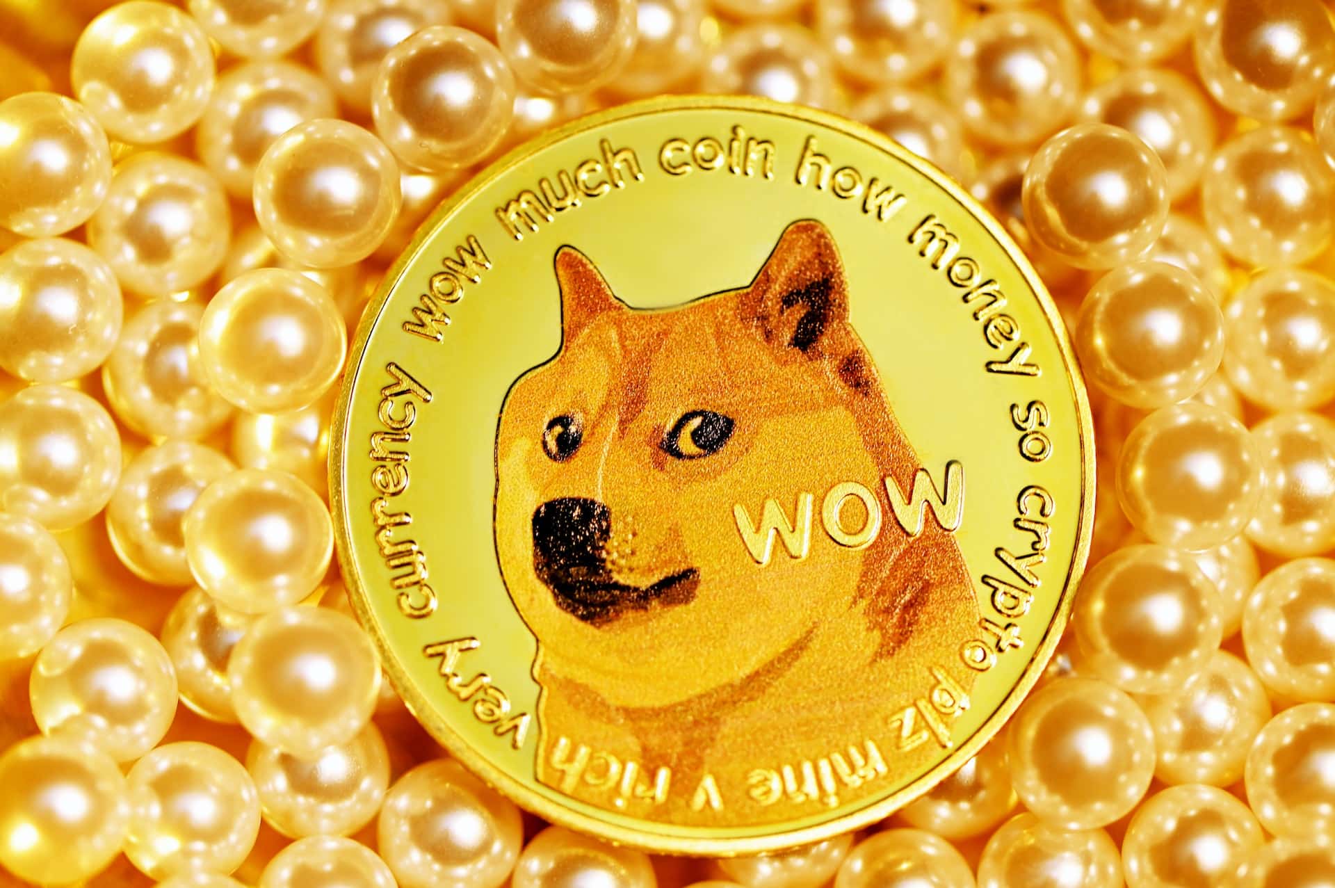 Where to Buy Shiba Inu Coin in India  - 77