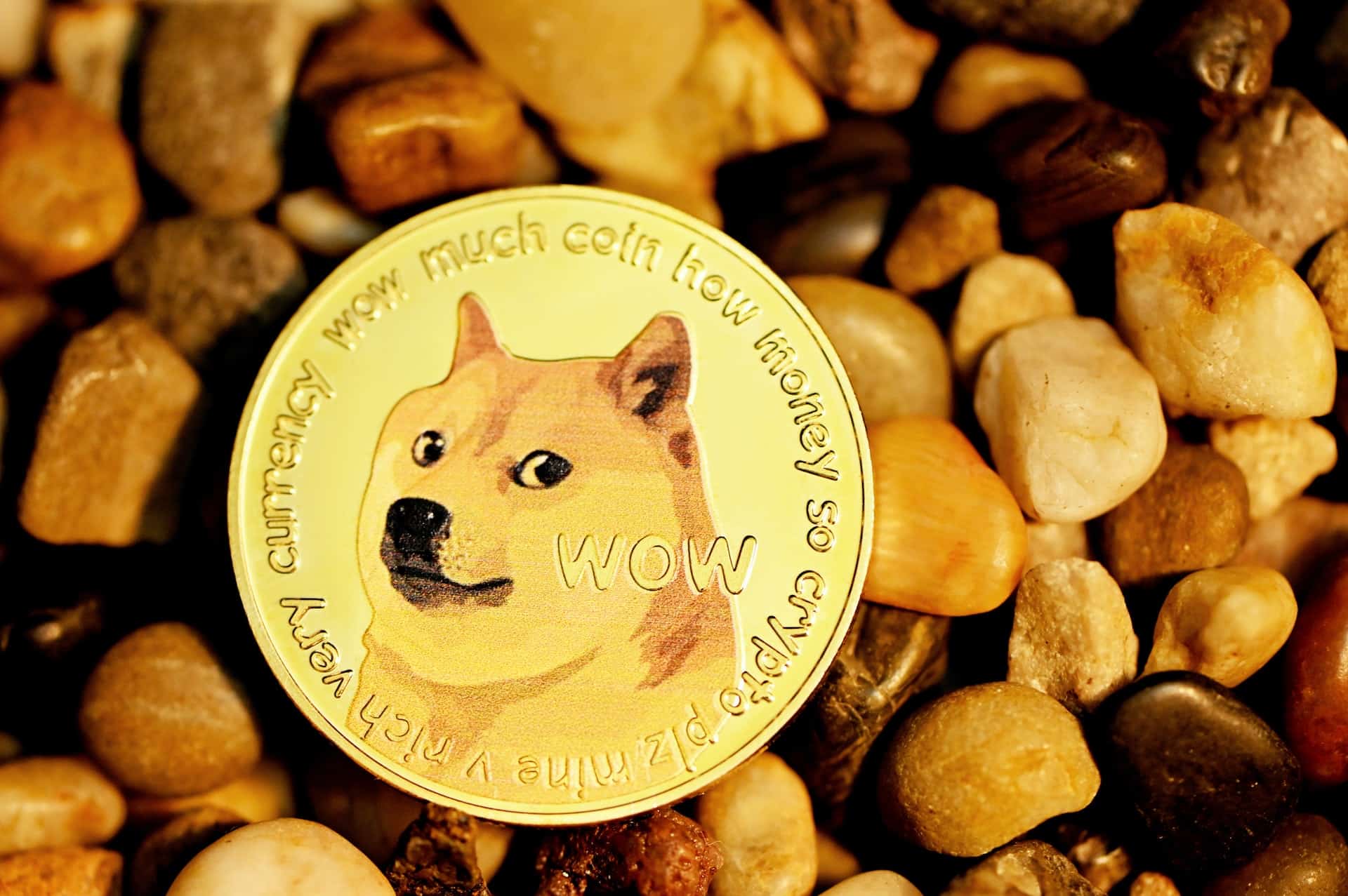 What is Dogemining Paid  - 23