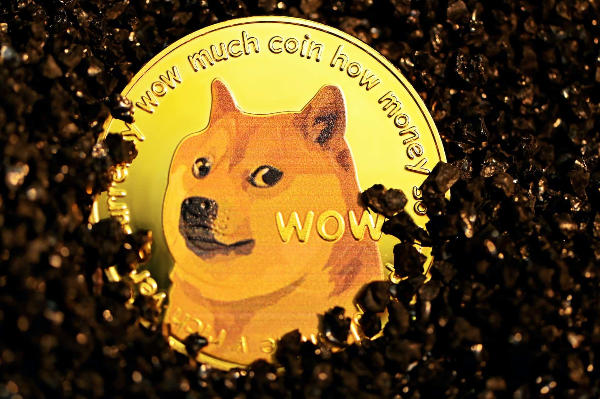 What is Dogemining Paid  - 60