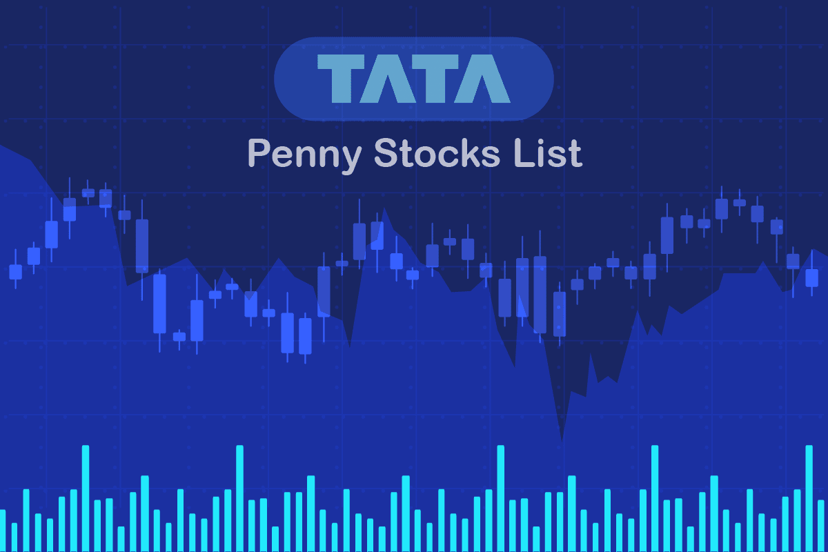 Government Penny Stocks 2024