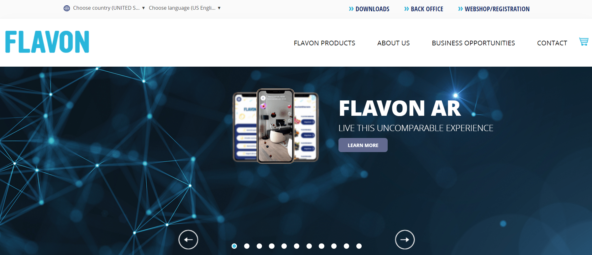 Flavon Max Club website