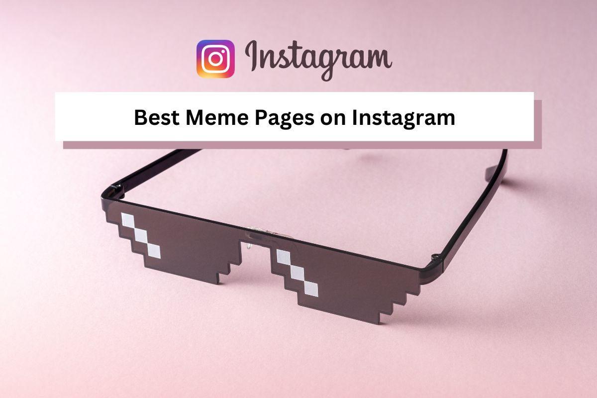 20 Best Meme Pages on Instagram in India that will Make You Laugh