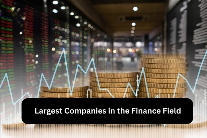 16 Largest Companies in the Finance Field