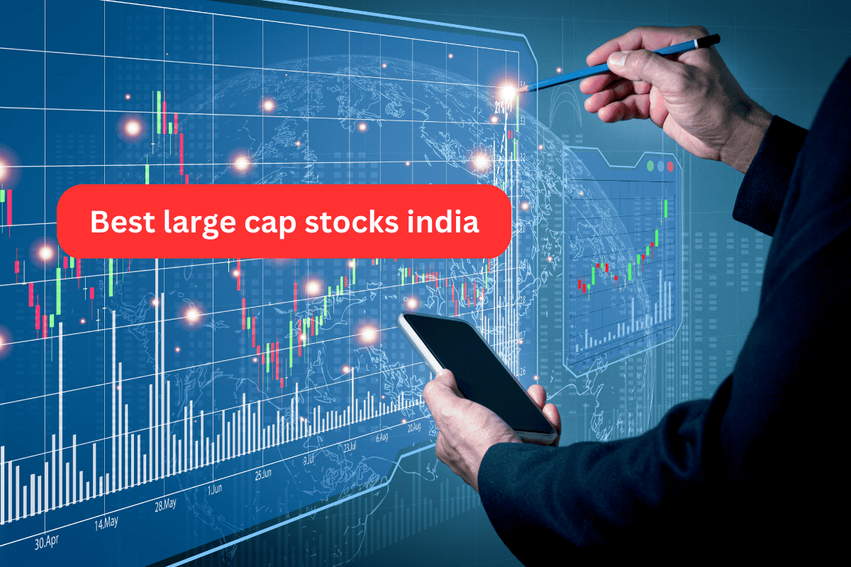 12 Best Large Cap Stocks In India Moneymint