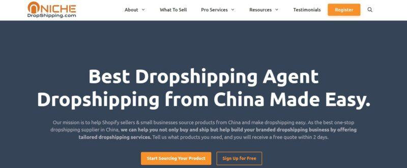 Niche Dropshipping