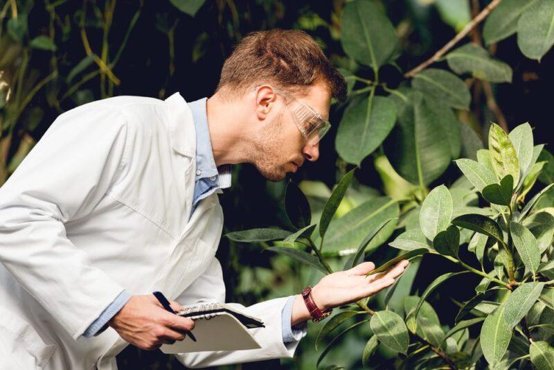 Person examining a plant