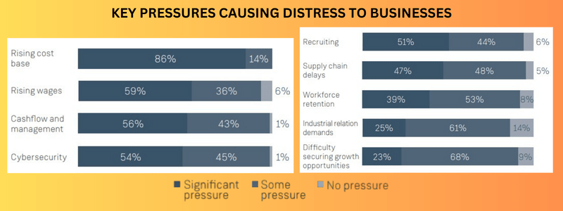 KEY PRESSURES CAUSING DISTRESS TO BUSINESSES