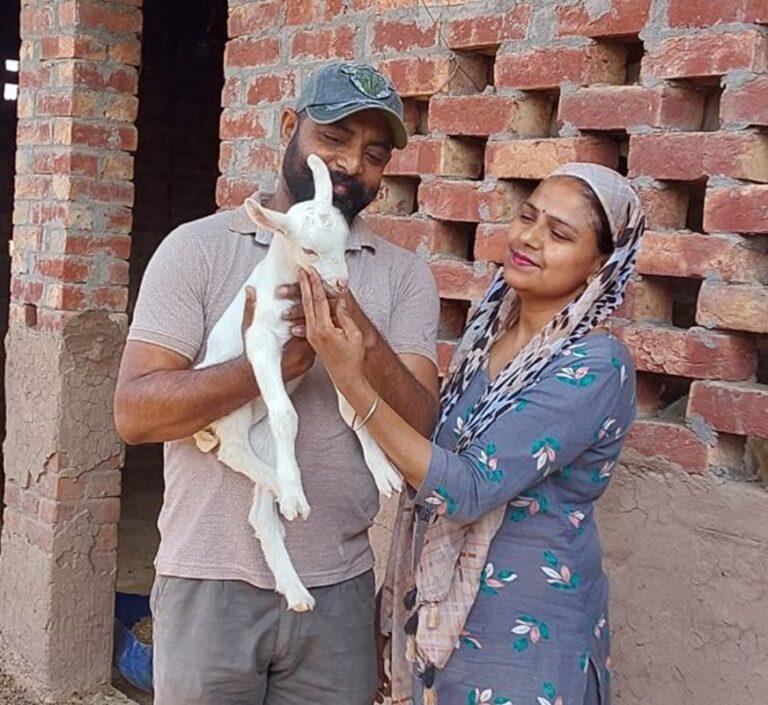 Eknoor and Mannat's India Goat Milk Farm: Harbhajan and Ravinder (parents of Eknoor and Mannat)