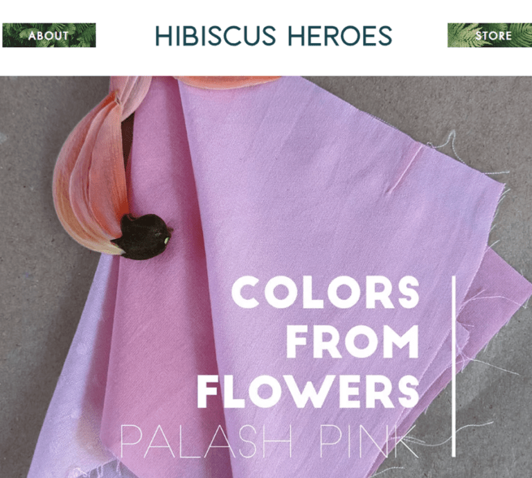 Hibiscus Heroes by Sowmya Parameswaran: Quit International Jobs and Launched Sustainable Fashion Startup