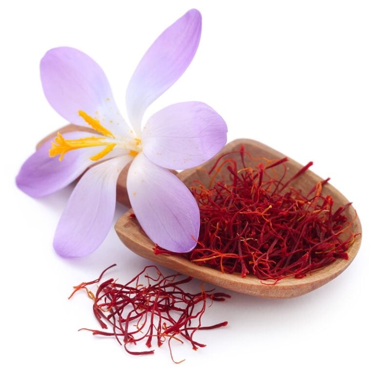 Praveen and Naveen's saffron business