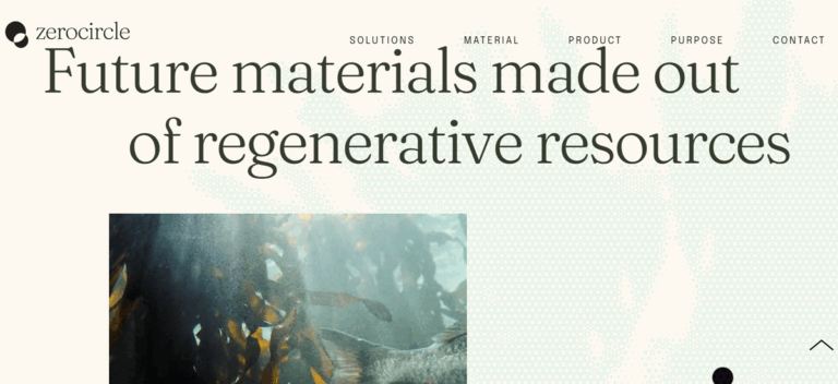 Zerocircle by Neha Jain Replace Plastic with Seaweed: A Google Employee Turned Seaweed Innovator