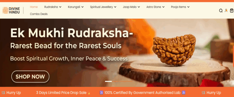 How 2 Brothers Bring Vedic Rituals to the Digital Age, Scaling Spiritual Commerce Divine Hindu by Aniruddha and Anurodh Singhai